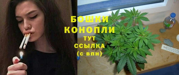 индика Гусь-Хрустальный