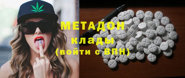 индика Гусь-Хрустальный
