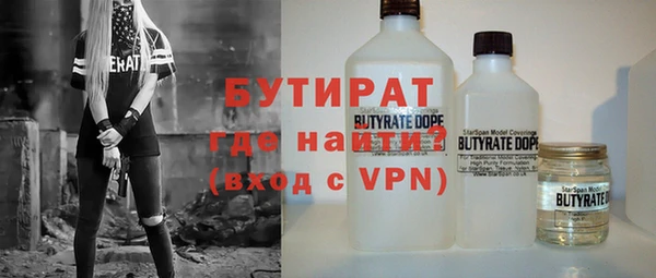 индика Гусь-Хрустальный