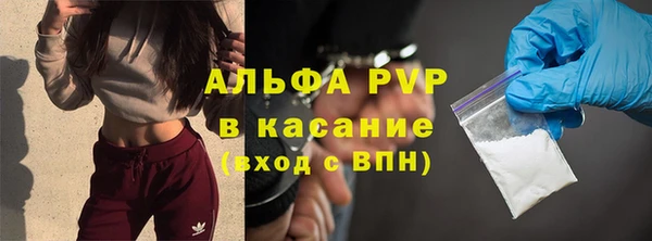 индика Гусь-Хрустальный