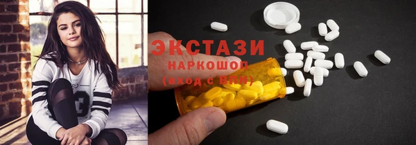 индика Гусь-Хрустальный