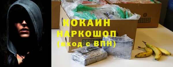 индика Гусь-Хрустальный