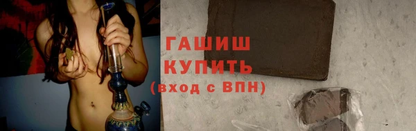 индика Гусь-Хрустальный