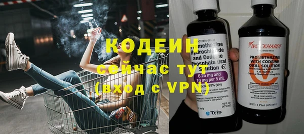 индика Гусь-Хрустальный