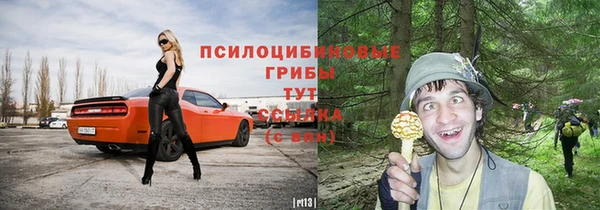 индика Гусь-Хрустальный