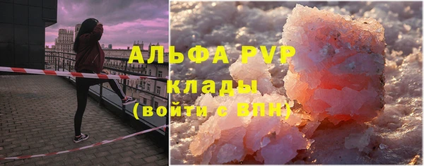 индика Гусь-Хрустальный