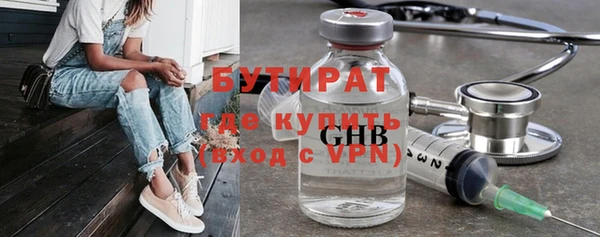 индика Гусь-Хрустальный