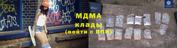 индика Гусь-Хрустальный